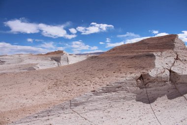 Arjantin 'in kuzeybatısında eşsiz bir sünger taşı tarlası.