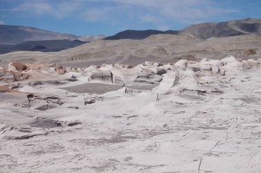 Arjantin 'in kuzeybatısında eşsiz bir sünger taşı tarlası.
