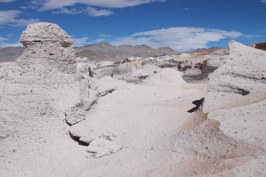 Arjantin 'in kuzeybatısında eşsiz bir sünger taşı tarlası.