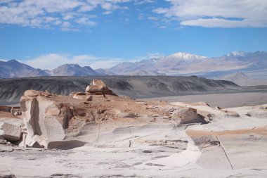 Arjantin 'in kuzeybatısında eşsiz bir sünger taşı tarlası.