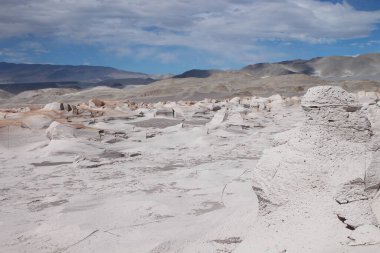 Arjantin 'in kuzeybatısında eşsiz bir sünger taşı tarlası.