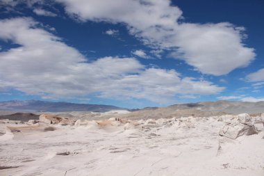 Arjantin 'in kuzeybatısında eşsiz bir sünger taşı tarlası.