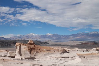 Arjantin 'in kuzeybatısında eşsiz bir sünger taşı tarlası.