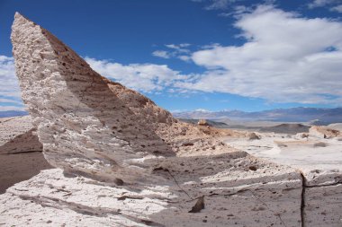Arjantin 'in kuzeybatısında eşsiz bir sünger taşı tarlası.