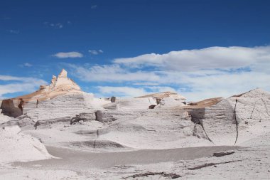 Arjantin 'in kuzeybatısında eşsiz bir sünger taşı tarlası.