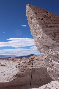Arjantin 'in kuzeybatısında eşsiz bir sünger taşı tarlası.