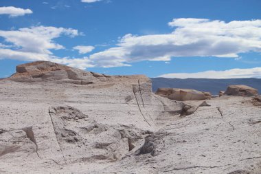 Arjantin 'in kuzeybatısında eşsiz bir sünger taşı tarlası.