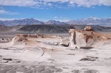 Arjantin 'in kuzeybatısında eşsiz bir sünger taşı tarlası.