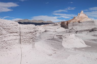 Arjantin 'in kuzeybatısında eşsiz bir sünger taşı tarlası.