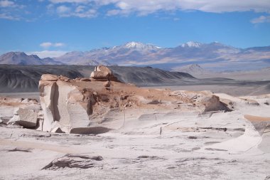 Arjantin 'in kuzeybatısında eşsiz bir sünger taşı tarlası.