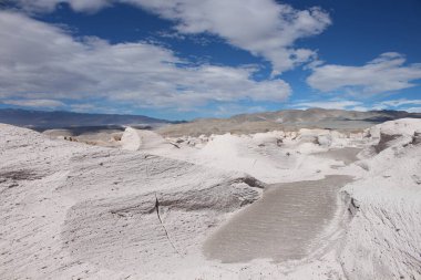 Arjantin 'in kuzeybatısında eşsiz bir sünger taşı tarlası.
