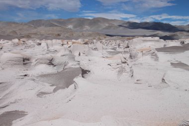 Arjantin 'in kuzeybatısında eşsiz bir sünger taşı tarlası.