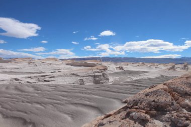 Arjantin 'in kuzeybatısında eşsiz bir sünger taşı tarlası.