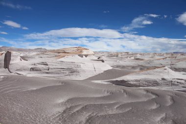 Arjantin 'in kuzeybatısında eşsiz bir sünger taşı tarlası.