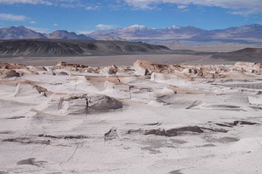 Arjantin 'in kuzeybatısında eşsiz bir sünger taşı tarlası.