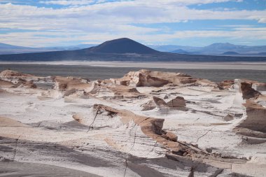 Arjantin 'in kuzeybatısında eşsiz bir sünger taşı tarlası.