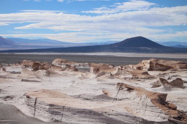Arjantin 'in kuzeybatısında eşsiz bir sünger taşı tarlası.
