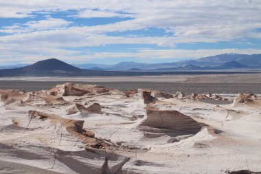 Arjantin 'in kuzeybatısında eşsiz bir sünger taşı tarlası.