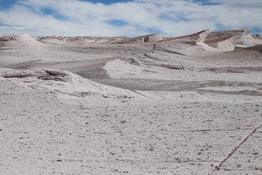 Arjantin 'in kuzeybatısında eşsiz bir sünger taşı tarlası.
