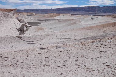 Arjantin 'in kuzeybatısında eşsiz bir sünger taşı tarlası.