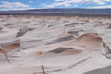 Arjantin 'in kuzeybatısında eşsiz bir sünger taşı tarlası.