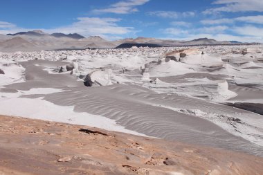 Arjantin 'in kuzeybatısında eşsiz bir sünger taşı tarlası.