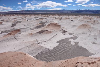 Arjantin 'in kuzeybatısında eşsiz bir sünger taşı tarlası.