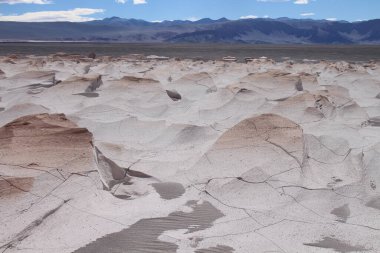 Arjantin 'in kuzeybatısında eşsiz bir sünger taşı tarlası.
