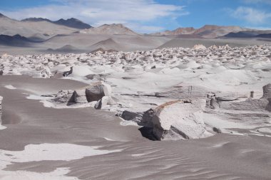 Arjantin 'in kuzeybatısında eşsiz bir sünger taşı tarlası.