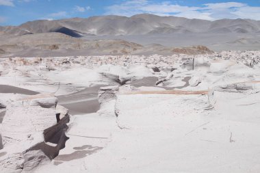 Arjantin 'in kuzeybatısında eşsiz bir sünger taşı tarlası.