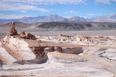 Arjantin 'in kuzeybatısında eşsiz bir sünger taşı tarlası.