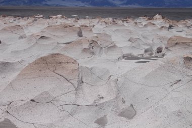 Arjantin 'in kuzeybatısında eşsiz bir sünger taşı tarlası.