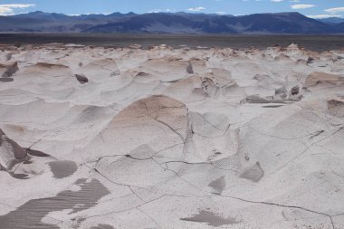 Arjantin 'in kuzeybatısında eşsiz bir sünger taşı tarlası.