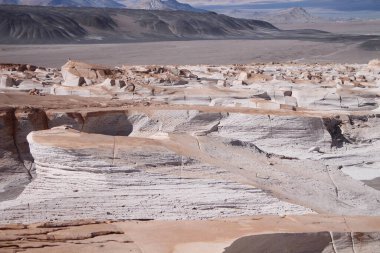 Arjantin 'in kuzeybatısında eşsiz bir sünger taşı tarlası.