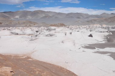 Arjantin 'in kuzeybatısında eşsiz bir sünger taşı tarlası.