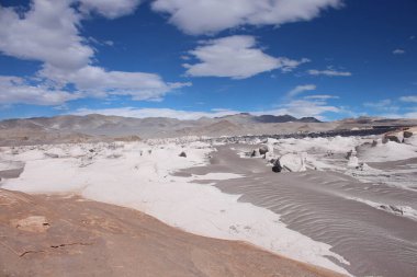 Arjantin 'in kuzeybatısında eşsiz bir sünger taşı tarlası.