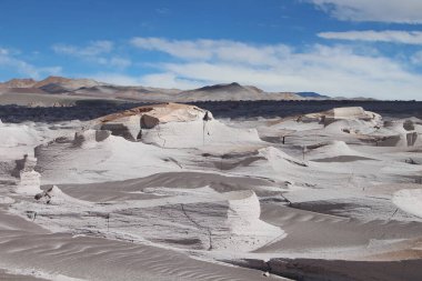 Arjantin 'in kuzeybatısında eşsiz bir sünger taşı tarlası.