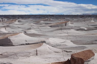 Arjantin 'in kuzeybatısında eşsiz bir sünger taşı tarlası.