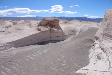 Arjantin 'in kuzeybatısında eşsiz bir sünger taşı tarlası.