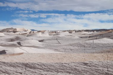 Arjantin 'in kuzeybatısında eşsiz bir sünger taşı tarlası.