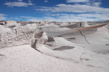 Arjantin 'in kuzeybatısında eşsiz bir sünger taşı tarlası.