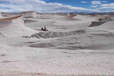 Arjantin 'in kuzeybatısında eşsiz bir sünger taşı tarlası.