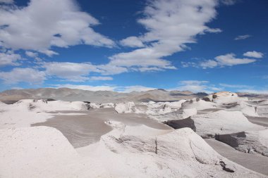 Arjantin 'in kuzeybatısında eşsiz bir sünger taşı tarlası.