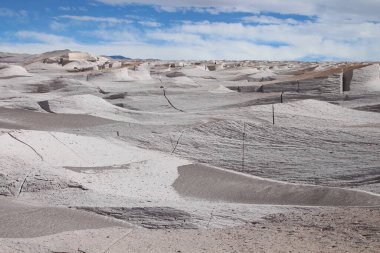 Arjantin 'in kuzeybatısında eşsiz bir sünger taşı tarlası.