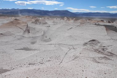 Arjantin 'in kuzeybatısında eşsiz bir sünger taşı tarlası.