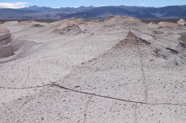 Arjantin 'in kuzeybatısında eşsiz bir sünger taşı tarlası.