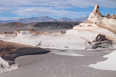 Arjantin 'in kuzeybatısında eşsiz bir sünger taşı tarlası.