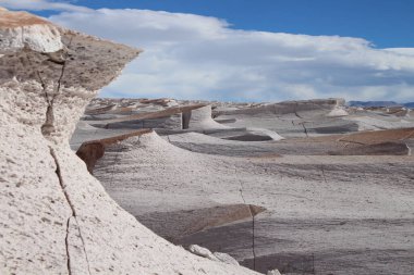 Arjantin 'in kuzeybatısında eşsiz bir sünger taşı tarlası.