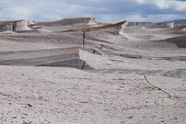 Arjantin 'in kuzeybatısında eşsiz bir sünger taşı tarlası.