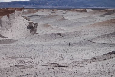 Arjantin 'in kuzeybatısında eşsiz bir sünger taşı tarlası.